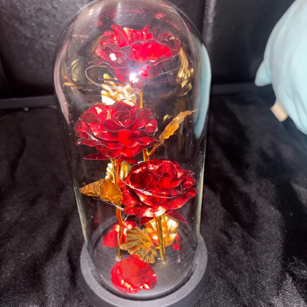 Enchanted forever light up Red Rose Dome with glass covering.